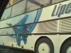     
: Russian Flacons Bus #3.jpg
: 1987
:	186.1 
ID:	3227